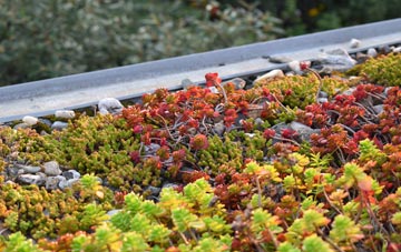 the cost of Totteroak green roof installation