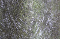 Totteroak fibreglass roof work